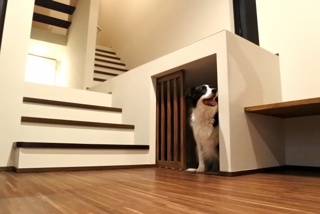犬専用スペース